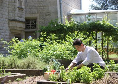 Studying and living on an eco-responsible campus